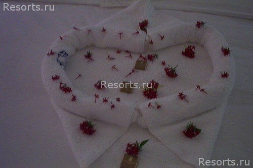Ritz-Carlton Golf & Spa Resort 43
